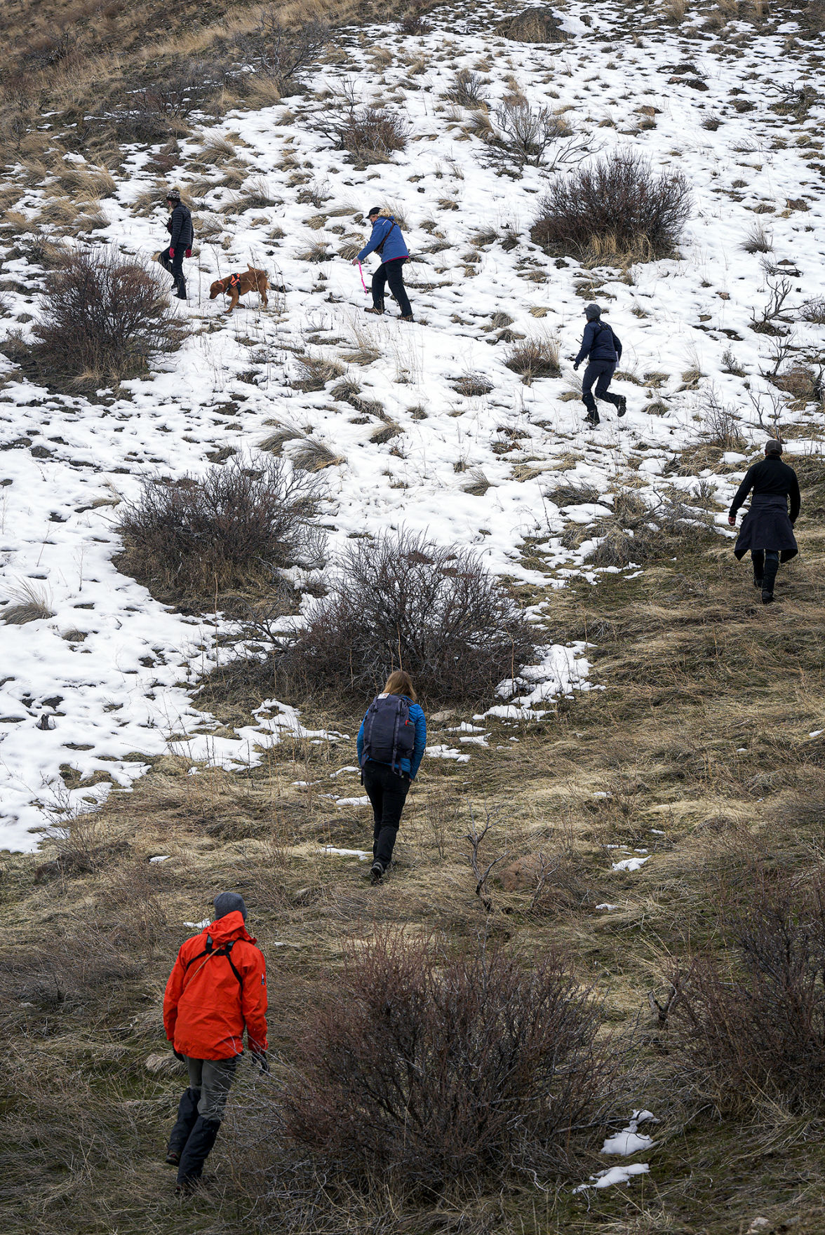 Search and Rescue15.JPG
